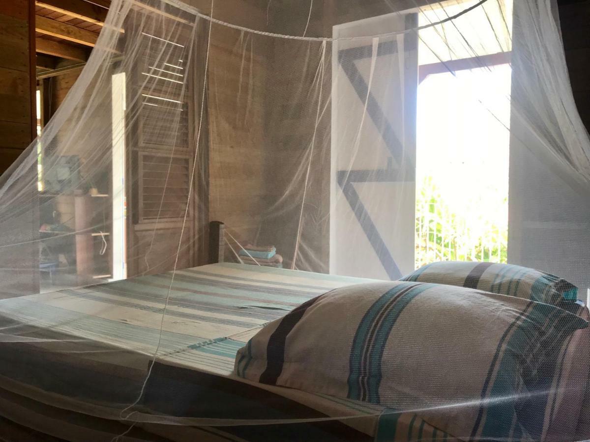 Villa Figues Et Mangos Terre-De-Haut ภายนอก รูปภาพ