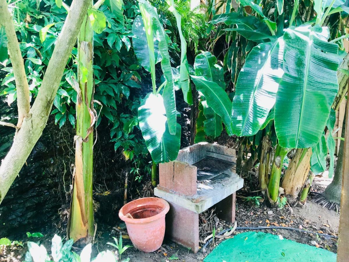Villa Figues Et Mangos Terre-De-Haut ภายนอก รูปภาพ