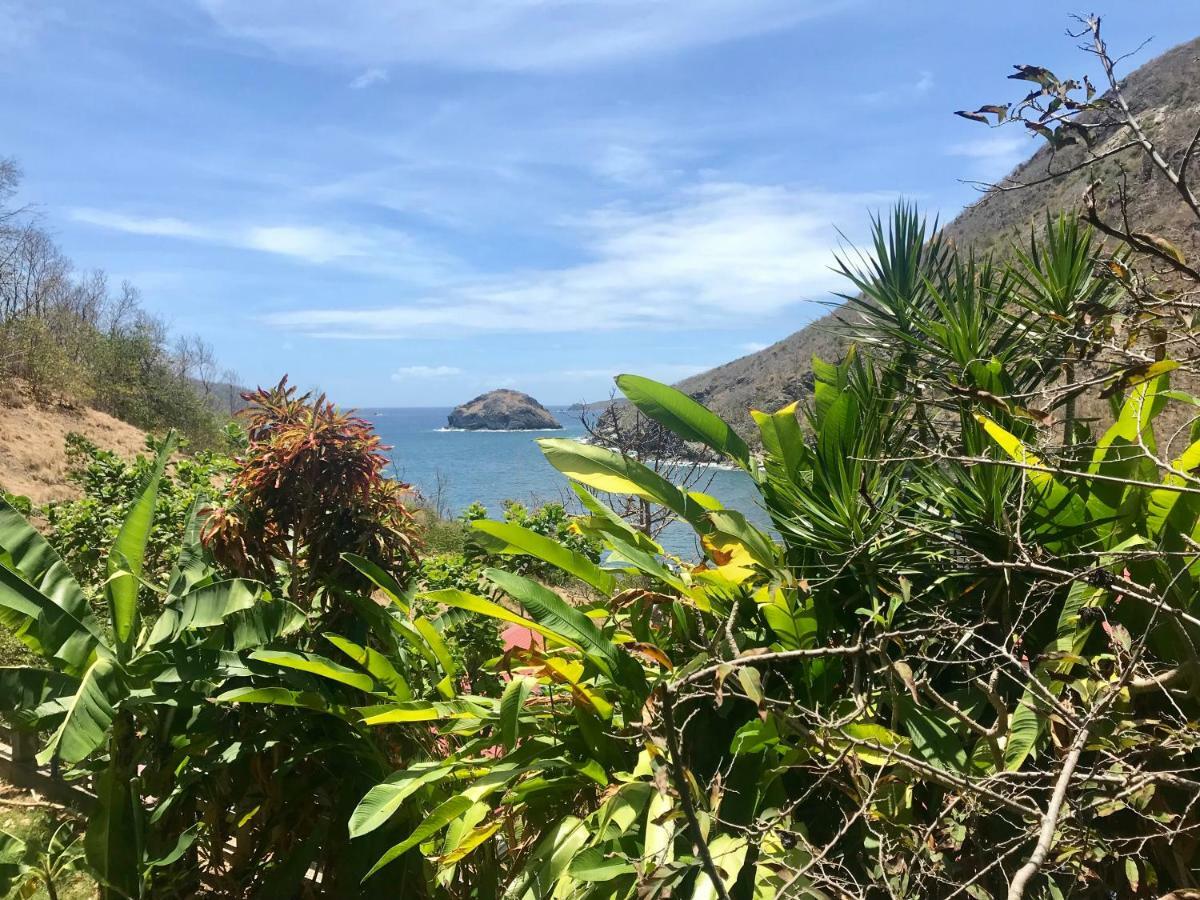 Villa Figues Et Mangos Terre-De-Haut ภายนอก รูปภาพ